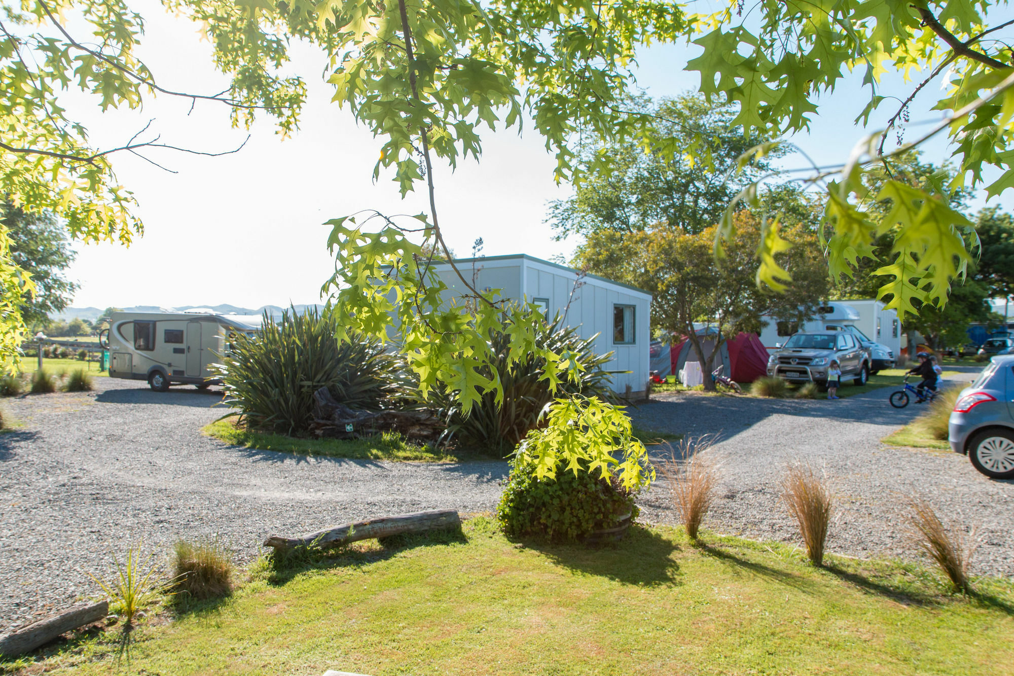 Martinborough Top 10 Holiday Park Dış mekan fotoğraf
